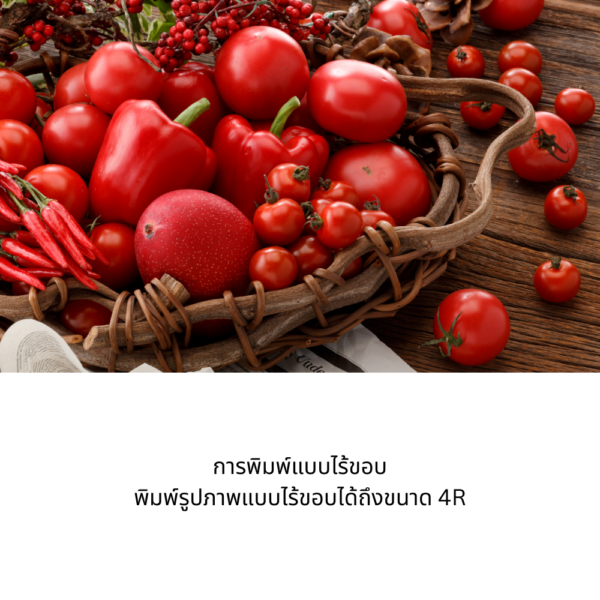เครื่องพิมพ์อิงค์เจ็ท Canon inkjet PIXMA TS207 - Image 6